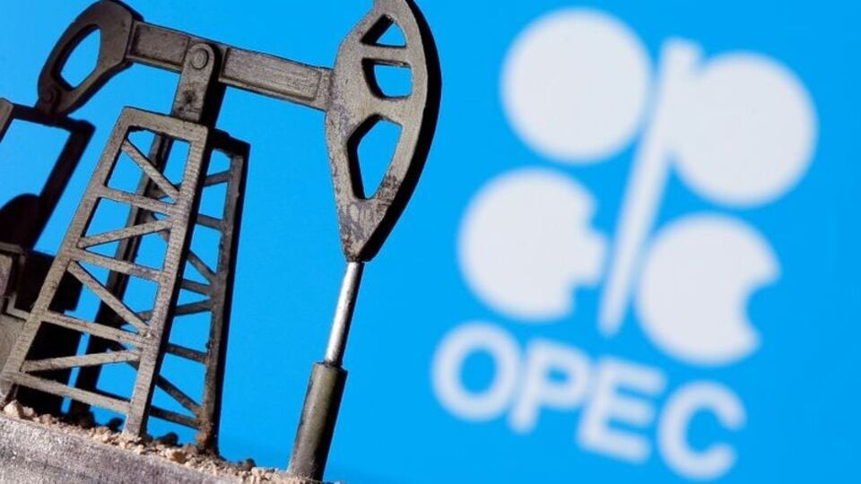 Oil