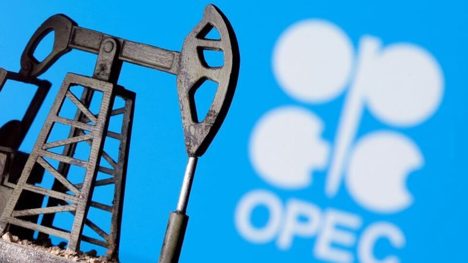 Oil