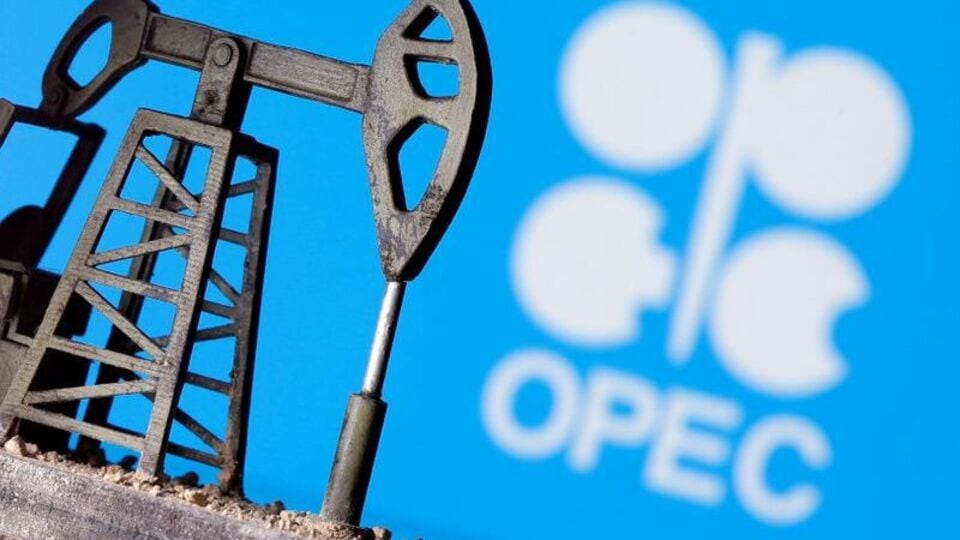 Oil