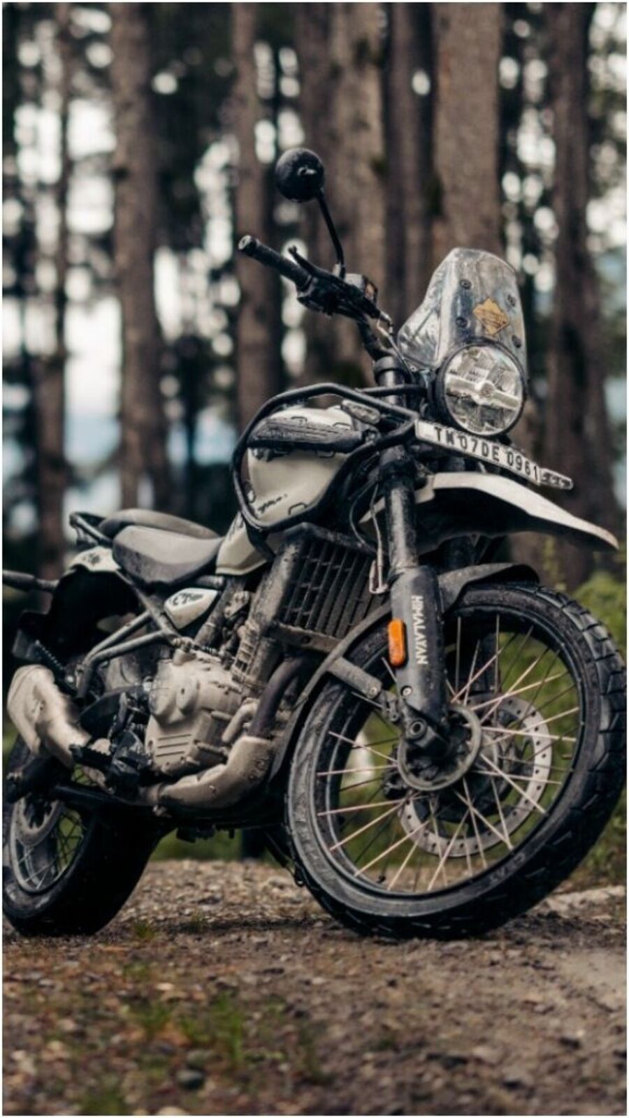 Royal Enfield Himalayan 450 finally gets this feature nearly a year after launch HT Auto