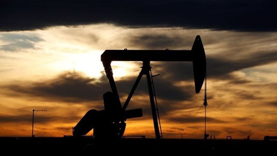Oil