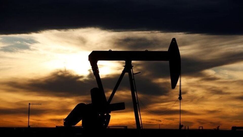 Oil