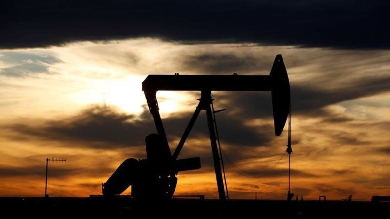 Crude oil prices steadies after two days of relentless slump