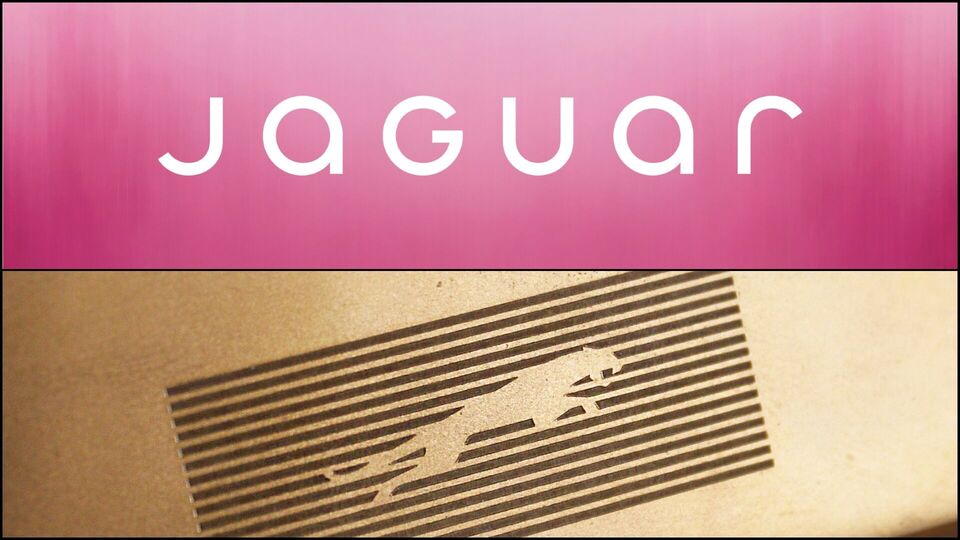 Jaguar