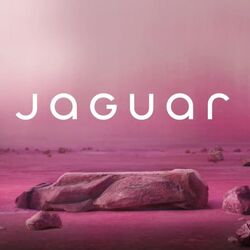 Screenshot taken from a video posted on X by Jaguar.