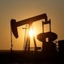 A recent report from the International Energy Agency highlighted that India is set to lead the global demand for oil with nearly 2 million barrels per day until 2035.  (REUTERS)