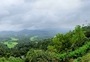 Routes to explore for a monsoon getaway in Coorg