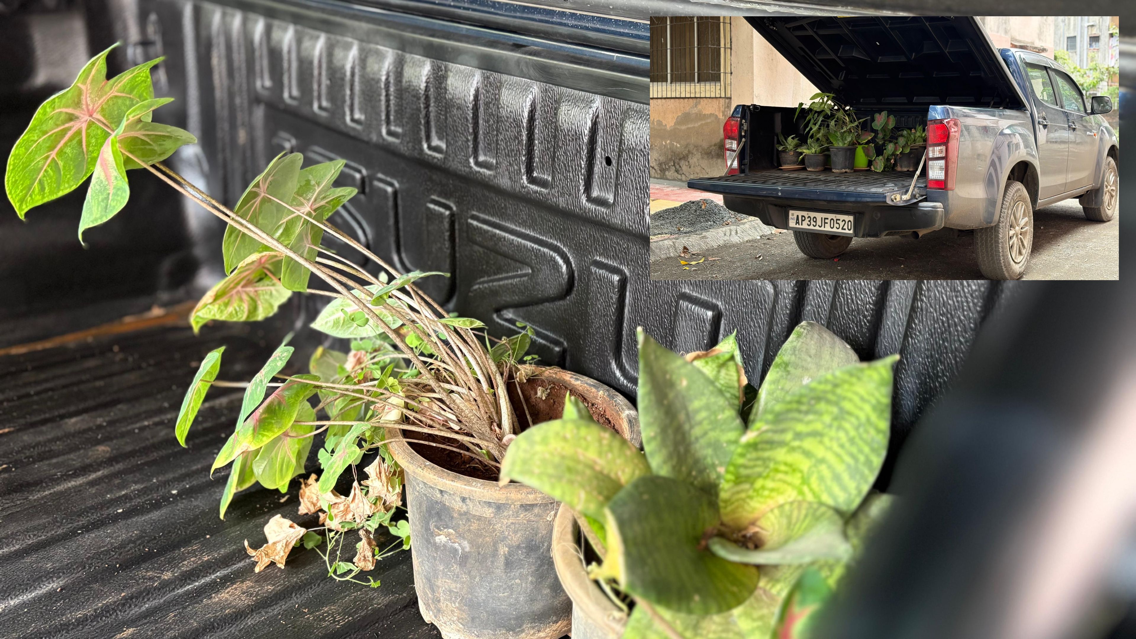 Isuzu D-Max Hi-Lander Review 