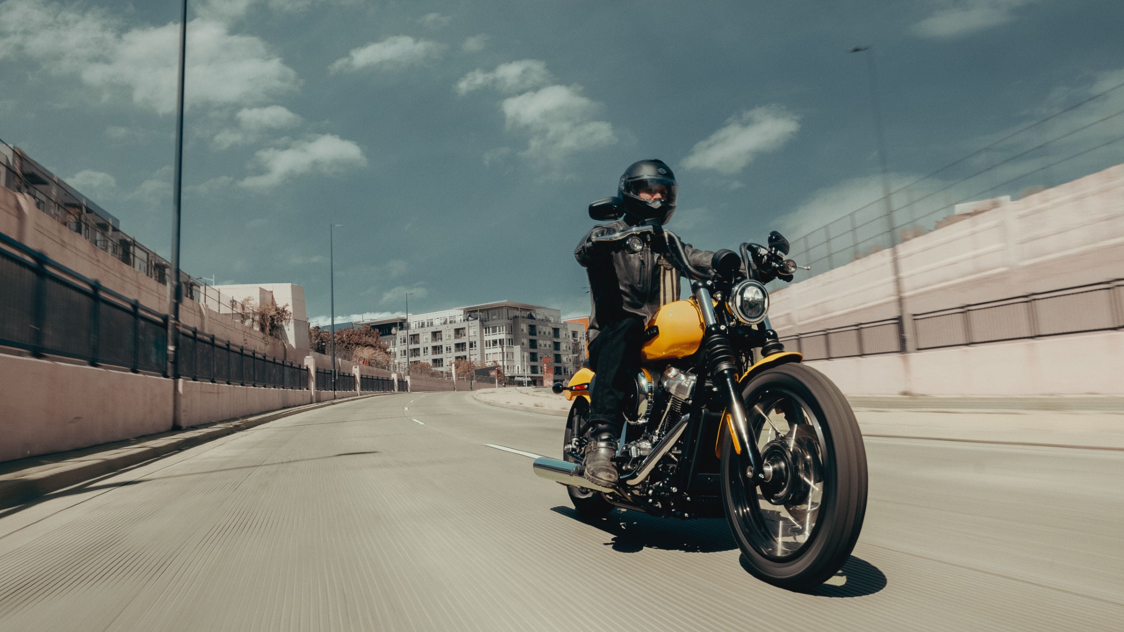 2025 Harley-Davidson Street Bob