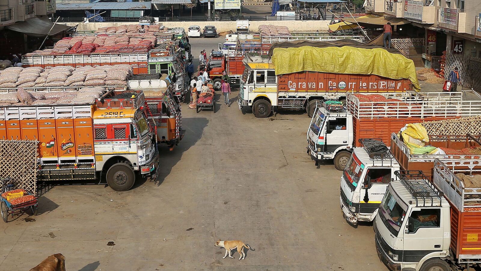 Commercial Vehicle sector calls for revised CAFE rules, N1 exemption