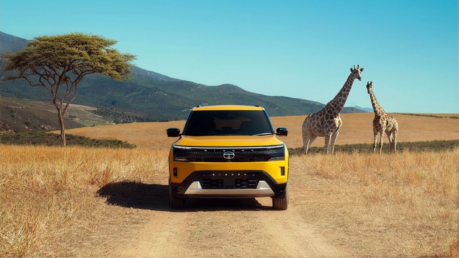 Tata Sierra to launch with petrol, diesel and EV variants: Expected powertrain details