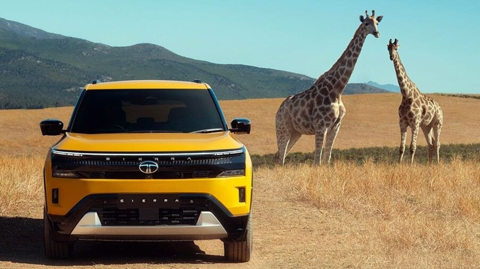 Tata Sierra caught your eye? Here are the colour options on offer…