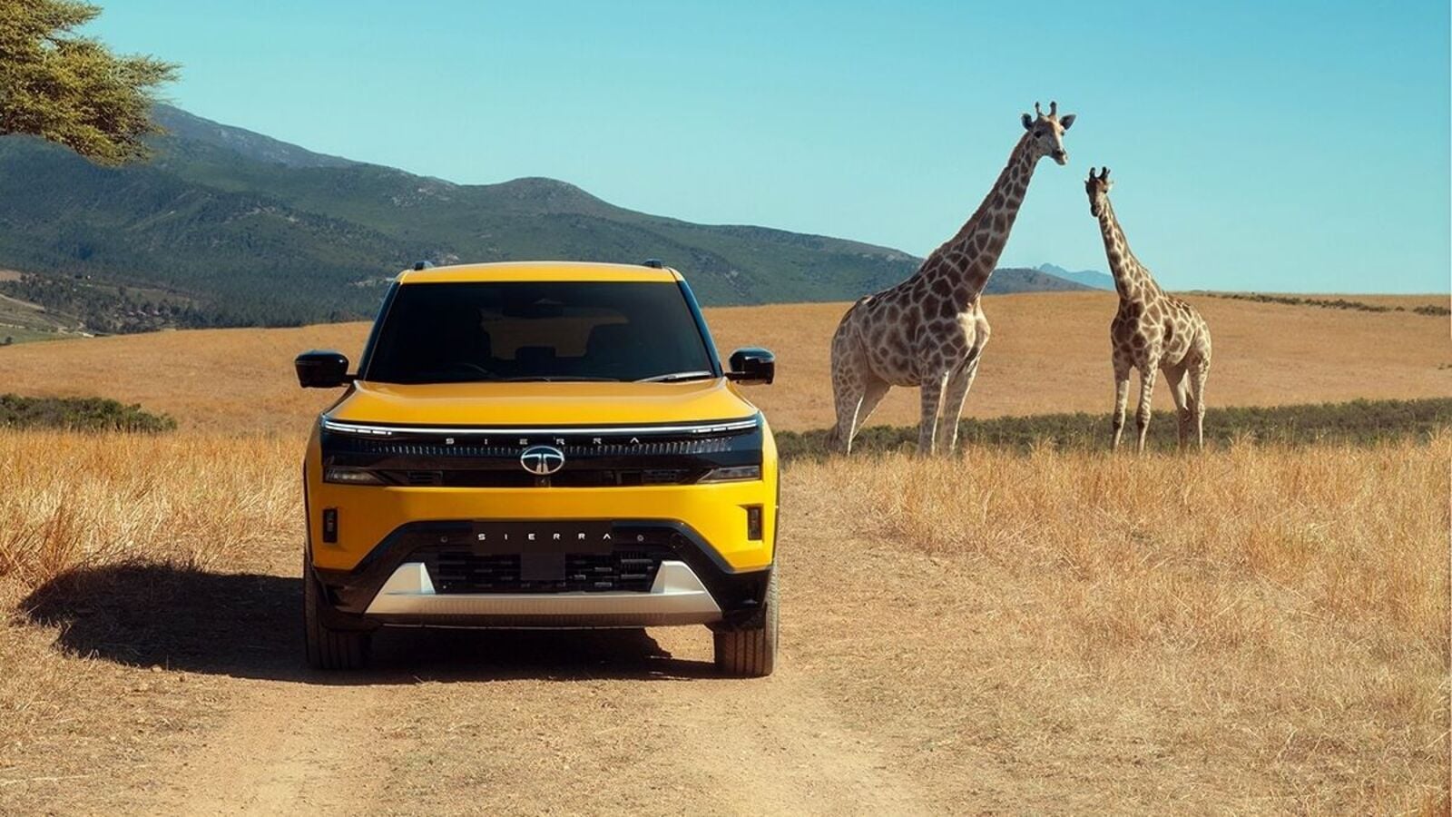 Tata Sierra SUV Pure and Adventure pricing announced; Accomplished trims remain awaited