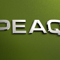 The 'Peaq' will sit at the top of Skoda's portfolio, as the name suggests.