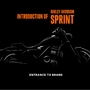 Harley-Davidson teases new Sprint and Sportster in affordability push