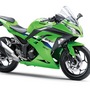The Ninja 300 uses a 296 cc parallel twin engine. 