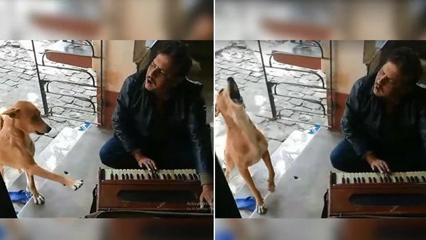 ভাইরাল ভিডিয়ো থেকে নেওয়া স্থিরচিত্র ভাইরাল ভিডিয়ো থেকে নেওয়া স্থিরচিত্র