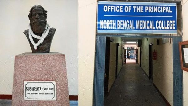 ফাইল ছবি ফাইল ছবি