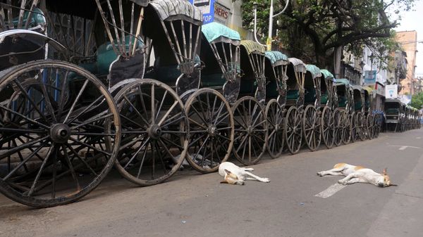 লকডাউনের কলকাতা লকডাউনের কলকাতা