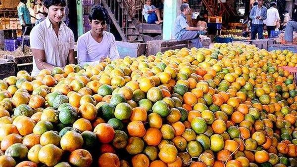 গুরুগ্রামে আচমকা চাহিদা বেড়ে গিয়েছে কমলালেবুর। গুরুগ্রামে আচমকা চাহিদা বেড়ে গিয়েছে কমলালেবুর।