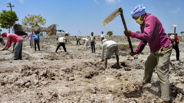 চলছে মনরেগা (PTI) চলছে মনরেগা (PTI)