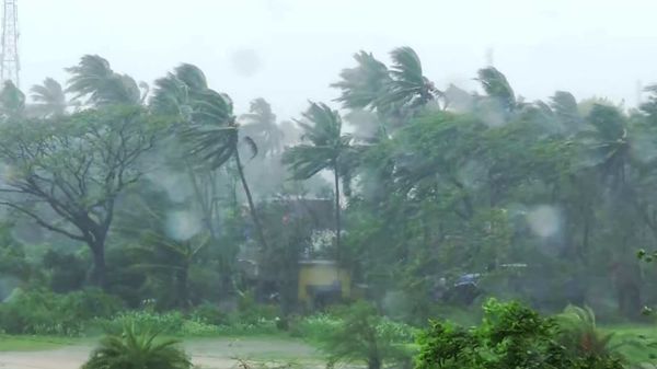 Heavy rain and strong wind continue to lash Chandipur, as the widespread effect of Cyclone Amphan, on Wednesday. (ANI Photo) Heavy rain and strong wind continue to lash Chandipur, as the widespread effect of Cyclone Amphan, on Wednesday. (ANI Photo)