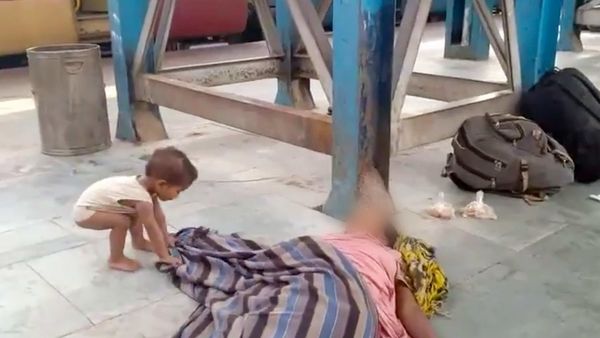 সেই ভাইরাল ভিডিও (PTI) সেই ভাইরাল ভিডিও (PTI)
