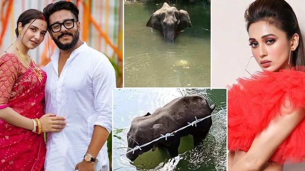 ক্ষোভ ফুঁসছেন তারকারাও (ছবি-ইনস্টগ্রাম) ক্ষোভ ফুঁসছেন তারকারাও (ছবি-ইনস্টগ্রাম)