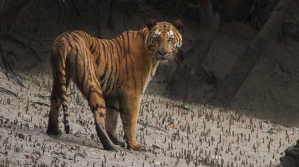 প্রতীকি ছবি প্রতীকি ছবি