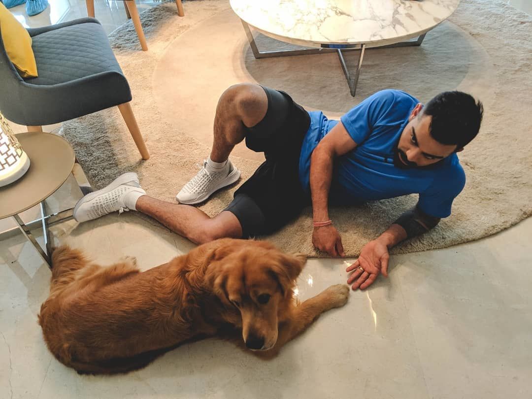 ペットと遊ぶには巨大です。 （写真提供-Instagram）