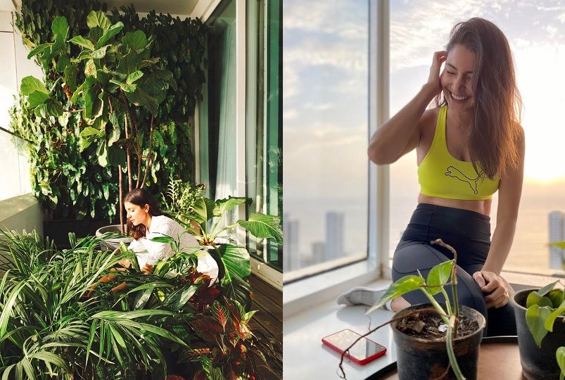 木とアヌシュカの友情。 ヒロインの家庭菜園。 ムンバイのこの高層ビルから外の空の景色は本当に素晴らしいです。 （写真-Instagram）