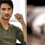 বাড়ির লোক জানিয়েছেন, কয়েক দিন ধরেই সুশান্ত সিং রাজপুত এবং এক টিকটক স্টারের আত্মহত্যা নিয়ে বার বার কথা বলত কিশোরী।