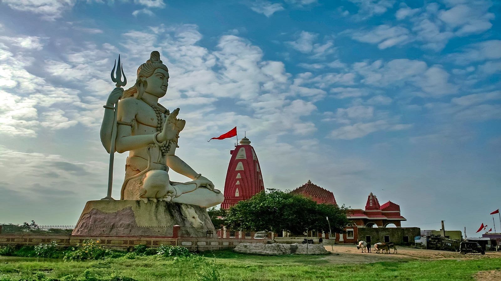 বৃশ্চিক- এই রাশির জাতকদের গুজরাতের দ্বারকা-স্থিত নাগেশ্বর জ্যোতির্লিঙ্গ বা উত্তরাখণ্ডের আলমোড়া জেলায় অবস্থিত জাগেশ্বর মহাদেব (এটিকেও জ্যোতির্লিঙ্গ মনে করা হয়)-এর পুজো করা উচিত। এই দুই জ্যোতির্লিঙ্গের সম্পর্ক বৃশ্চিক রাশির সঙ্গে। মহাশিবরাত্রির দিন এই জ্যোতির্লিঙ্গের দর্শন করলে দুর্ঘটনা থেকে বাঁচা সম্ভব হয়। উক্ত দিন জ্যোতির্লিঙ্গের দর্শন করতে না-পারলে, দুধ ও খই দিয়ে শিবপুজো করা উচিত। এর পর শিবকে গাঁদা ফুল ও বেলপাতা অর্পণ করুন। এই রাশির জাতকরা ‘হ্রীং ওম নমঃ শিবায় হ্রীং’ মন্ত্রের জপ করা উচিত। এটি ১২টি জ্যোতির্লিঙ্গের মধ্যে দশম জ্যোতির্লিঙ্গ। গুজরাতের দ্বারকাপুরী থেকে ২৫ কিলোমিটার দূরে অবস্থিত এই মন্দিরে আশপাশে কোনও জনবসতি গড়ে ওঠেনি।