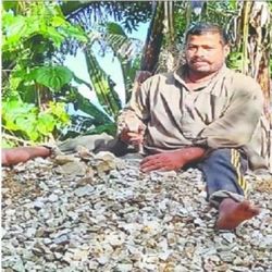 রাজেন্দ্র সিং ধামি। ছবি- এএনআই ও টুইটার।