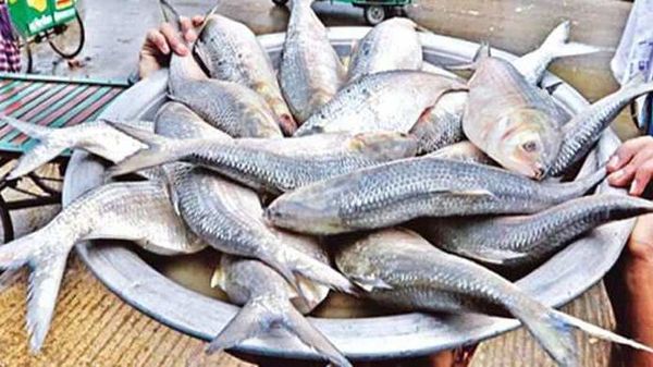প্রতীকি ছবি প্রতীকি ছবি