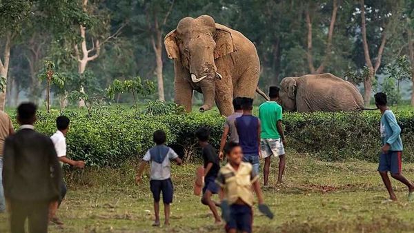 প্রতীকী ছবি প্রতীকী ছবি