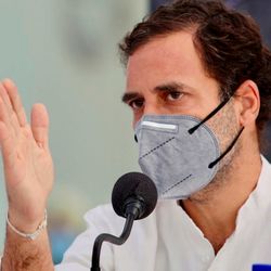 রাহুল গান্ধী (PTI)