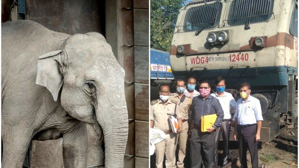 ট্রেনের ধাক্কায় হাতি-শাবকের মৃত্যু, নজিরবিহীনভাবে বাজেয়াপ্ত ঘাতক ইঞ্জিন (ছবি সৌজন্য রয়টার্স ও হিন্দুস্তান টাইমস) ট্রেনের ধাক্কায় হাতি-শাবকের মৃত্যু, নজিরবিহীনভাবে বাজেয়াপ্ত ঘাতক ইঞ্জিন (ছবি সৌজন্য রয়টার্স ও হিন্দুস্তান টাইমস)