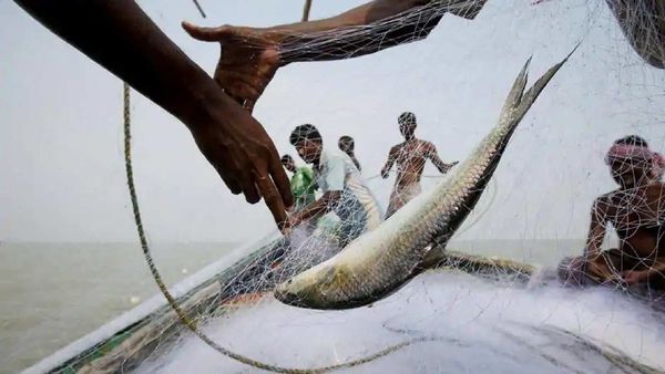 চাঁদপুরে মা ইলিশ রক্ষা অভিযানে জেলেদের মারে নৌ পুলিশের ১০ সদস্য আহত হয়েছেন। চাঁদপুরে মা ইলিশ রক্ষা অভিযানে জেলেদের মারে নৌ পুলিশের ১০ সদস্য আহত হয়েছেন।