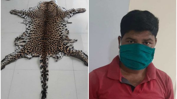 চিতাবাঘের চামড়া এবং ধৃত (ছবি সৌজন্য হিন্দুস্তান টাইমস) চিতাবাঘের চামড়া এবং ধৃত (ছবি সৌজন্য হিন্দুস্তান টাইমস)
