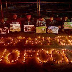 অমৃতসরের ছবি (PTI)