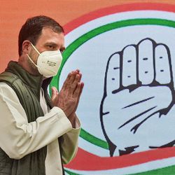 রাহুল গান্ধী (PTI)