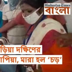 বিজেপি প্রার্থী পাপিয়া অধিকারী। (ছবি সৌজন্য হিন্দুস্তান টাইমস) বিজেপি প্রার্থী পাপিয়া অধিকারী। (ছবি সৌজন্য হিন্দুস্তান টাইমস)