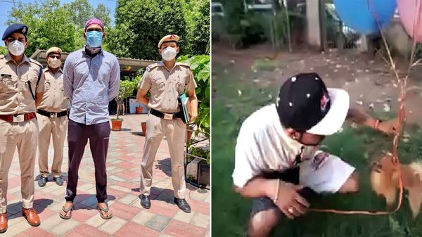 কুকুরকে আকাশে 'উড়িয়ে' দিল্লিতে গ্রেফতার ইউটিউবার (ছবি সৌজন্যে এএনআই) কুকুরকে আকাশে 'উড়িয়ে' দিল্লিতে গ্রেফতার ইউটিউবার (ছবি সৌজন্যে এএনআই)