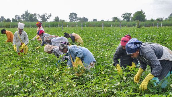 ফাইল ছবি : পিটিআই (PTI) ফাইল ছবি : পিটিআই (PTI)