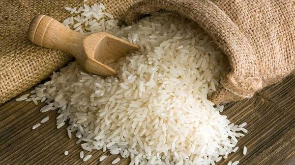 চালকলের সামনে অবস্থান–বিক্ষোভ। ছবিটি প্রতীকী–এএনআই। চালকলের সামনে অবস্থান–বিক্ষোভ। ছবিটি প্রতীকী–এএনআই।