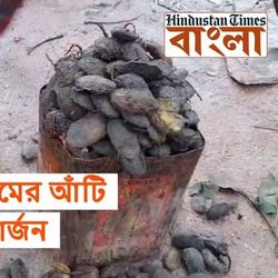 ফেলে দেওয়া আমের আঁটি দেখাচ্ছে আয়ের দিশা, পূর্বস্থলীতে চলছে কর্মযজ্ঞ