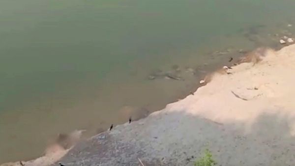 সাধারণ মানুষের মধ্যে যে আতঙ্ক সৃষ্টি হয়েছিল, তা দূর করবে এই সমীক্ষার রিপোর্ট। ফাইল ছবি : এএনআই (ANI) সাধারণ মানুষের মধ্যে যে আতঙ্ক সৃষ্টি হয়েছিল, তা দূর করবে এই সমীক্ষার রিপোর্ট। ফাইল ছবি : এএনআই (ANI)