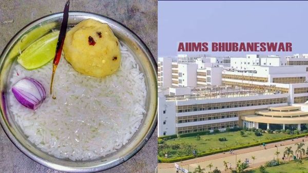 পান্তা খেয়ে শান্ত হয়ে কাপড় দিয়ে গায়/গরু চড়াতে পাঁচন হাতে রাখাল ছেলে যায়'। রাখাল ছেলেদের শরীরে এত বেশি রোগ প্রতিরোধ ক্ষমতার রহস্য এই পান্তাতেই! ছবি : ফেসবুক (Facebook) পান্তা খেয়ে শান্ত হয়ে কাপড় দিয়ে গায়/গরু চড়াতে পাঁচন হাতে রাখাল ছেলে যায়'। রাখাল ছেলেদের শরীরে এত বেশি রোগ প্রতিরোধ ক্ষমতার রহস্য এই পান্তাতেই! ছবি : ফেসবুক (Facebook)