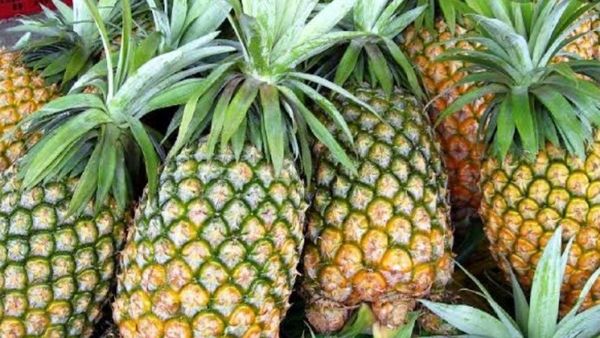 আনারস (ফাইল ছবি) আনারস (ফাইল ছবি)